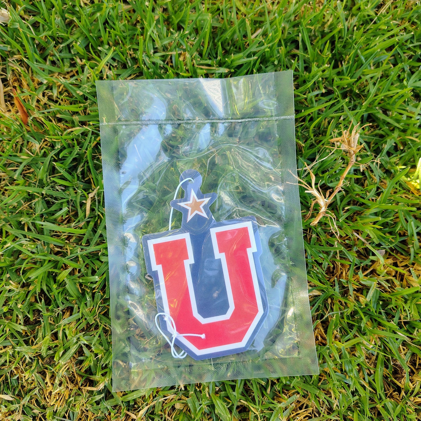 PACK 12 AROMATIZANTES DISTINTOS AROMAS Y DISEÑOS