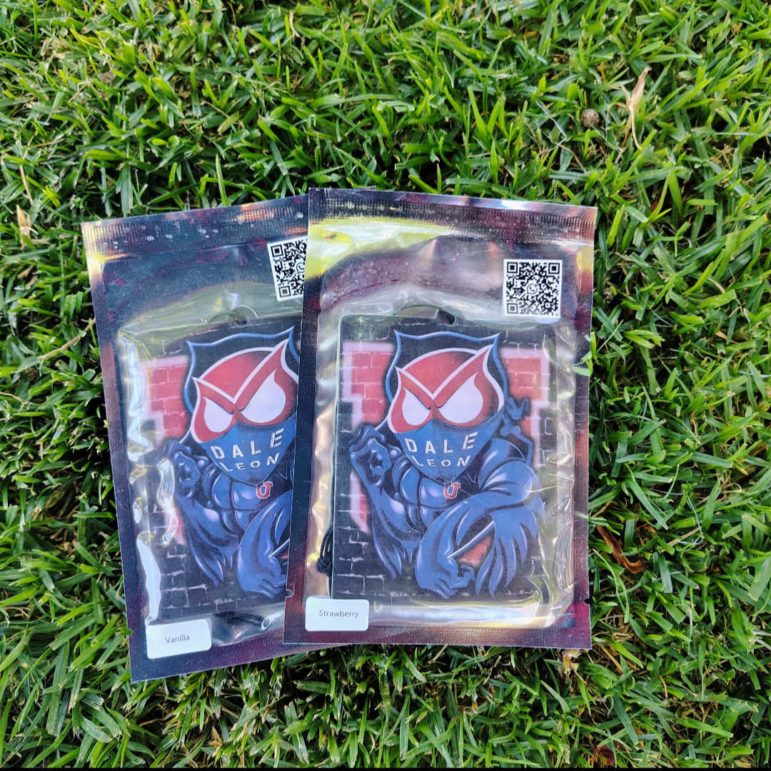 PACK 12 AROMATIZANTES DISTINTOS AROMAS Y DISEÑOS