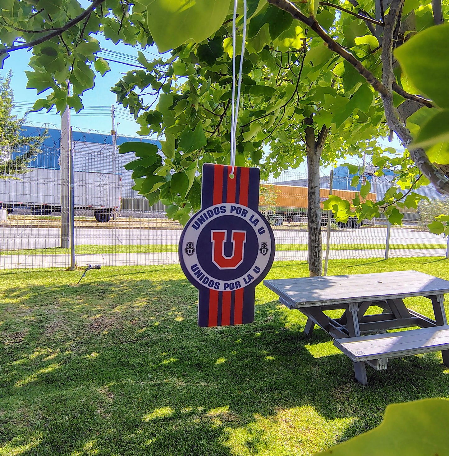 PACK SURTIDO.                                     12 AROMATIZANTES CON TODOS NUESTROS DISEÑOS